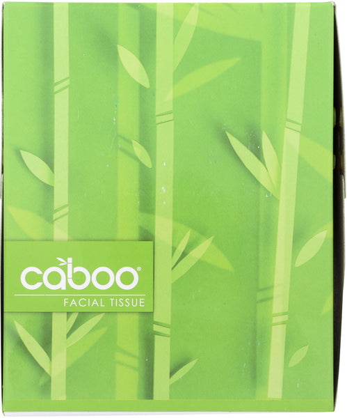 Caboo 2-Ply Facial Tissue Cube 90 Sheets, 1 Ea